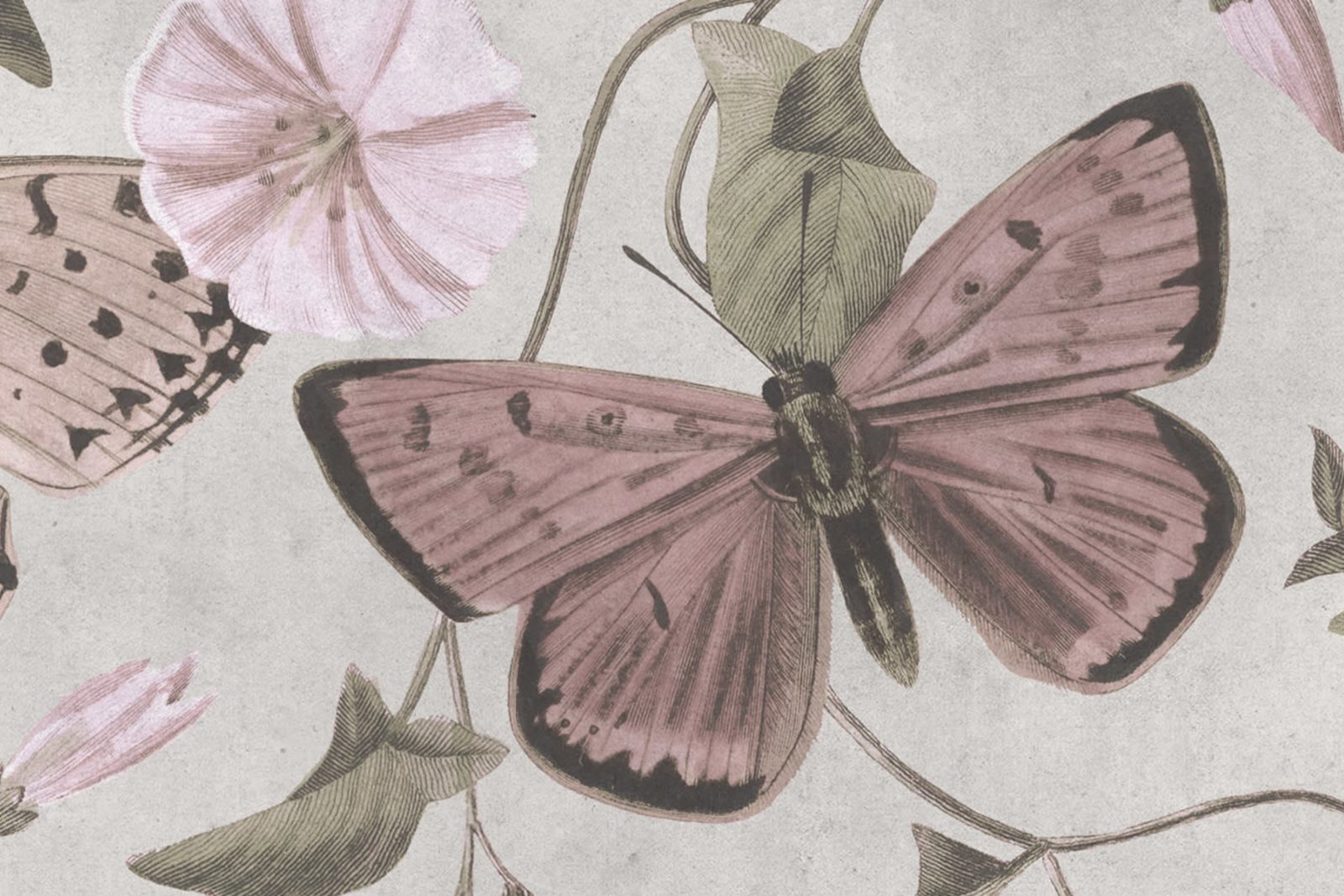Butterflies, Pastel, Rebel Walls 4