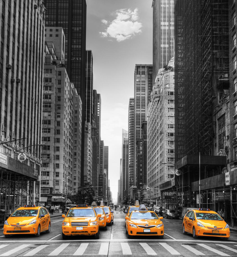 N.Y. Cab, Rebel Walls