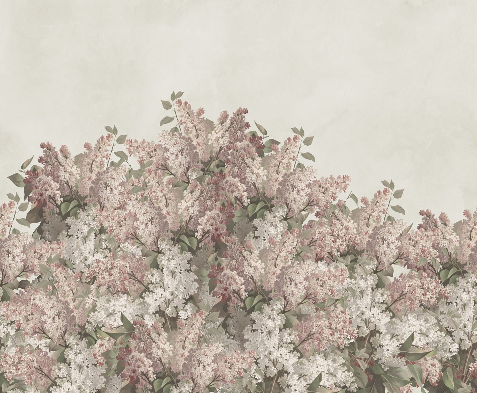 Syringa Flowers, Pink, Rebel Walls