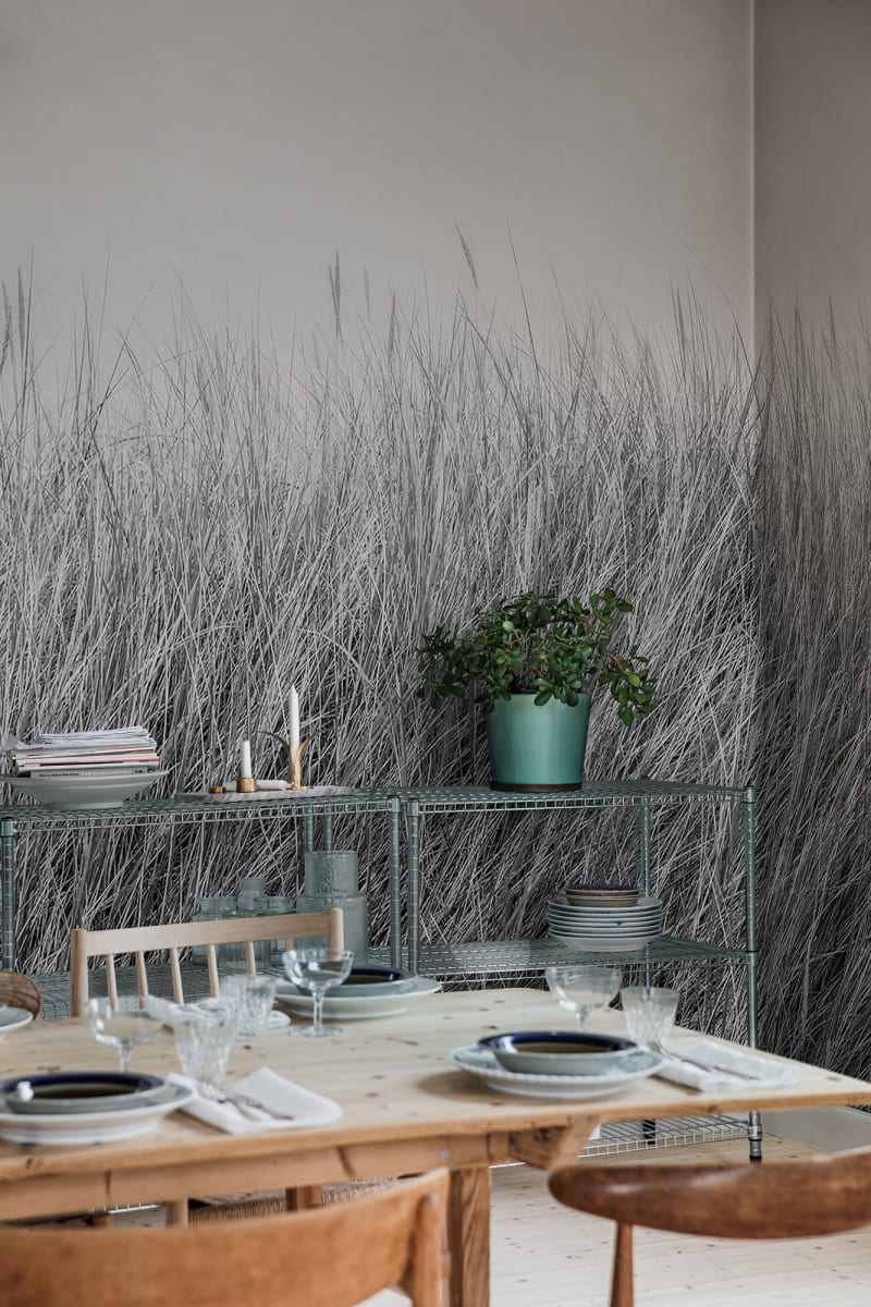 Scandinavian Reed, Black & White, Rebel Walls 3