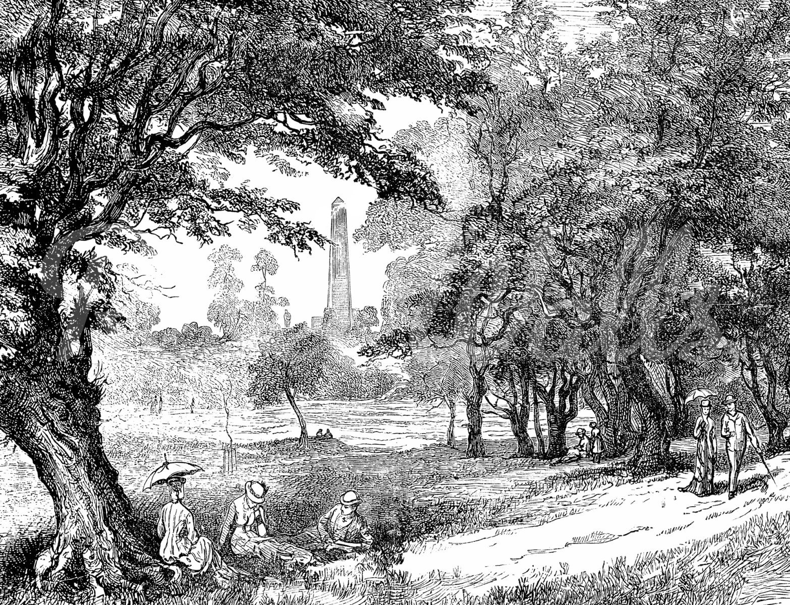 Big Toile, Rebel Walls