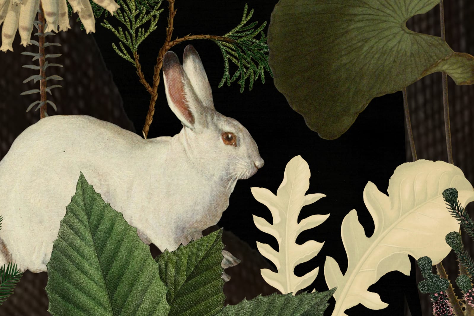 Rabbit Hole, Moss, Rebel Walls 4