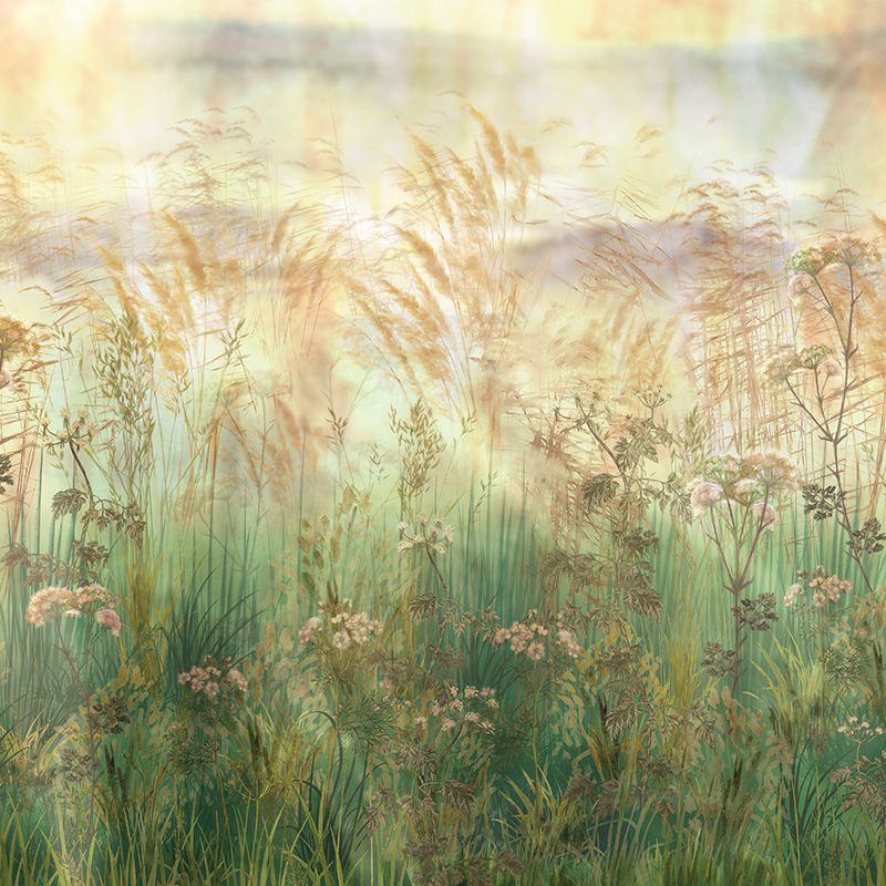 Bright Greenery Sunset, VLAdiLA