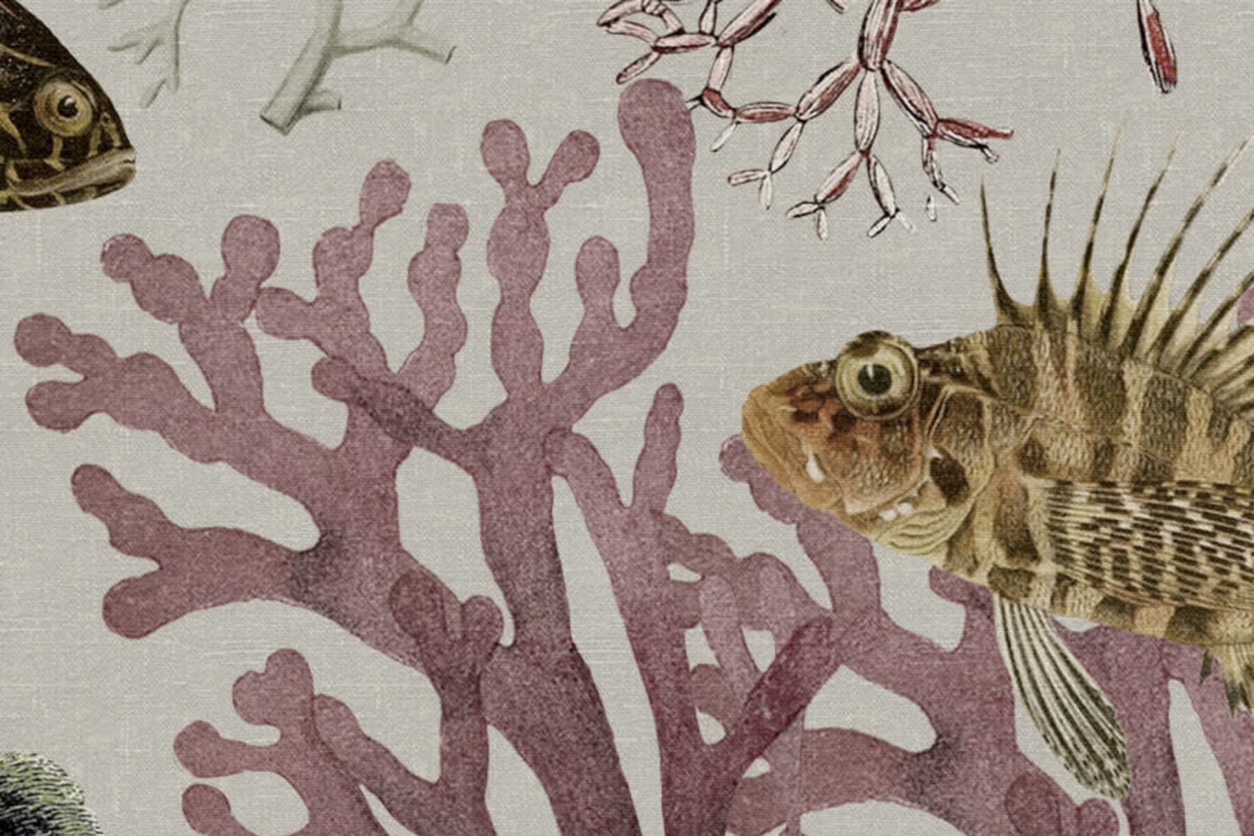 Ocean Life, Sand, Rebel Walls 4
