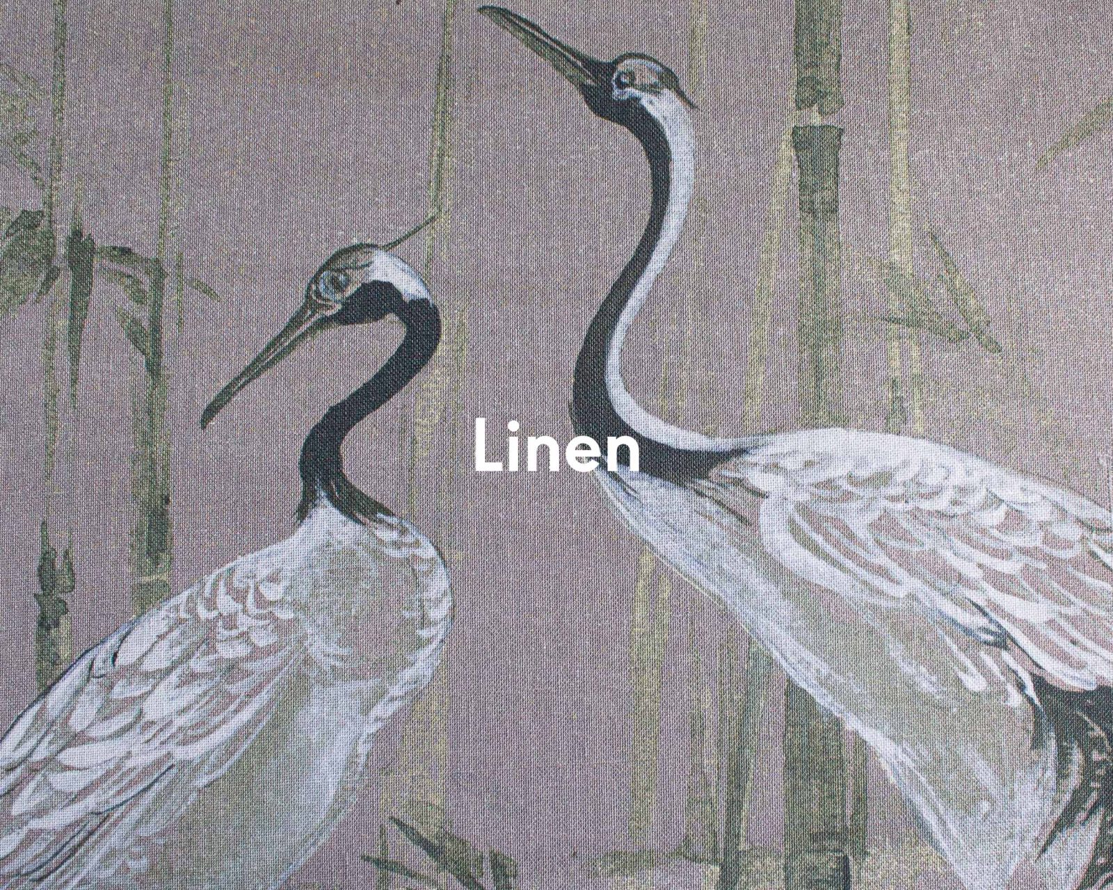 Garzas, Nude, Coordonne 4