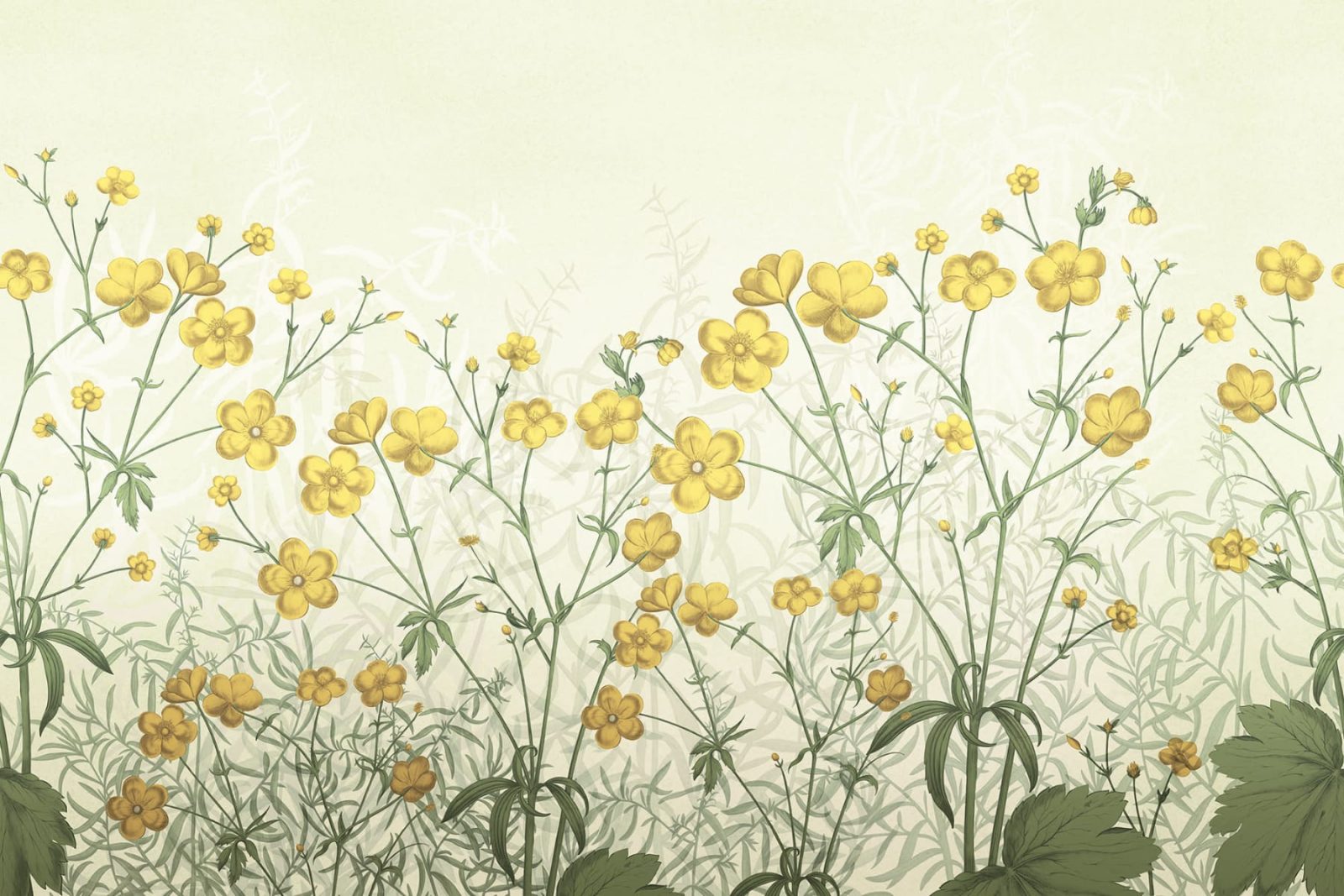 Vintage Buttercups, Yellow, Rebel Walls
