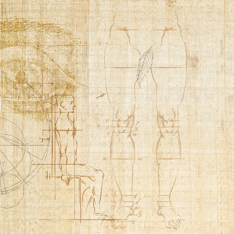 Anatomy of numbers, VLAdiLA 4
