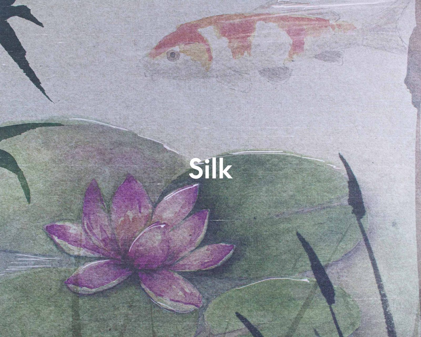 Lotus, Spring, Coordonne 5