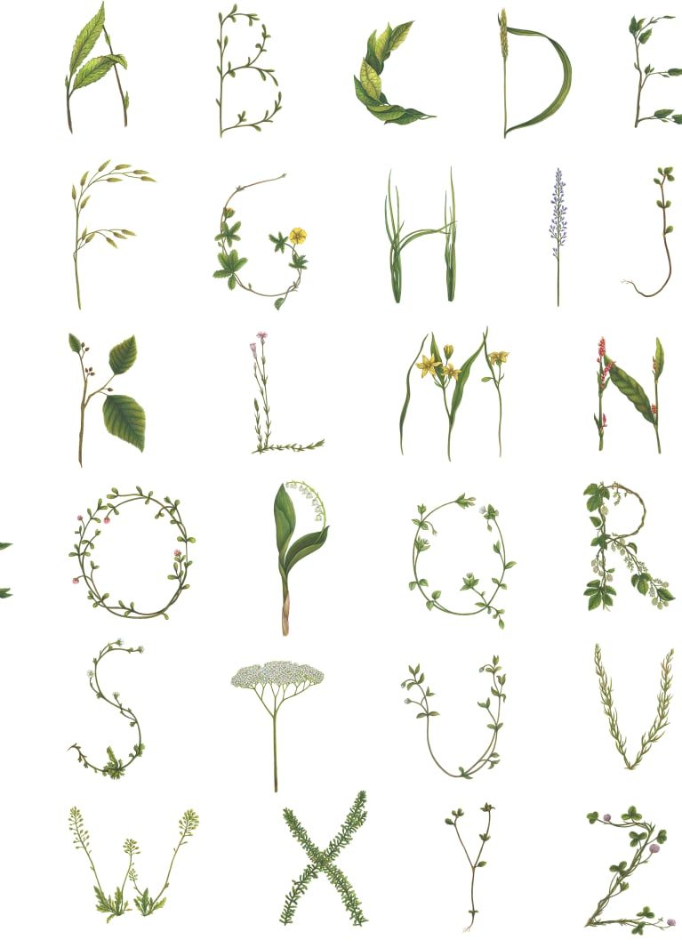 Floral Alphabet Mini, English, Rebel Walls, 5 mp / rola