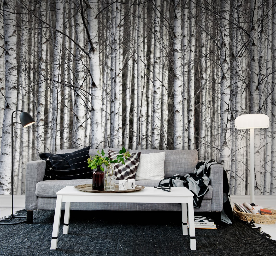 Birch Trunks, Rebel Walls 3