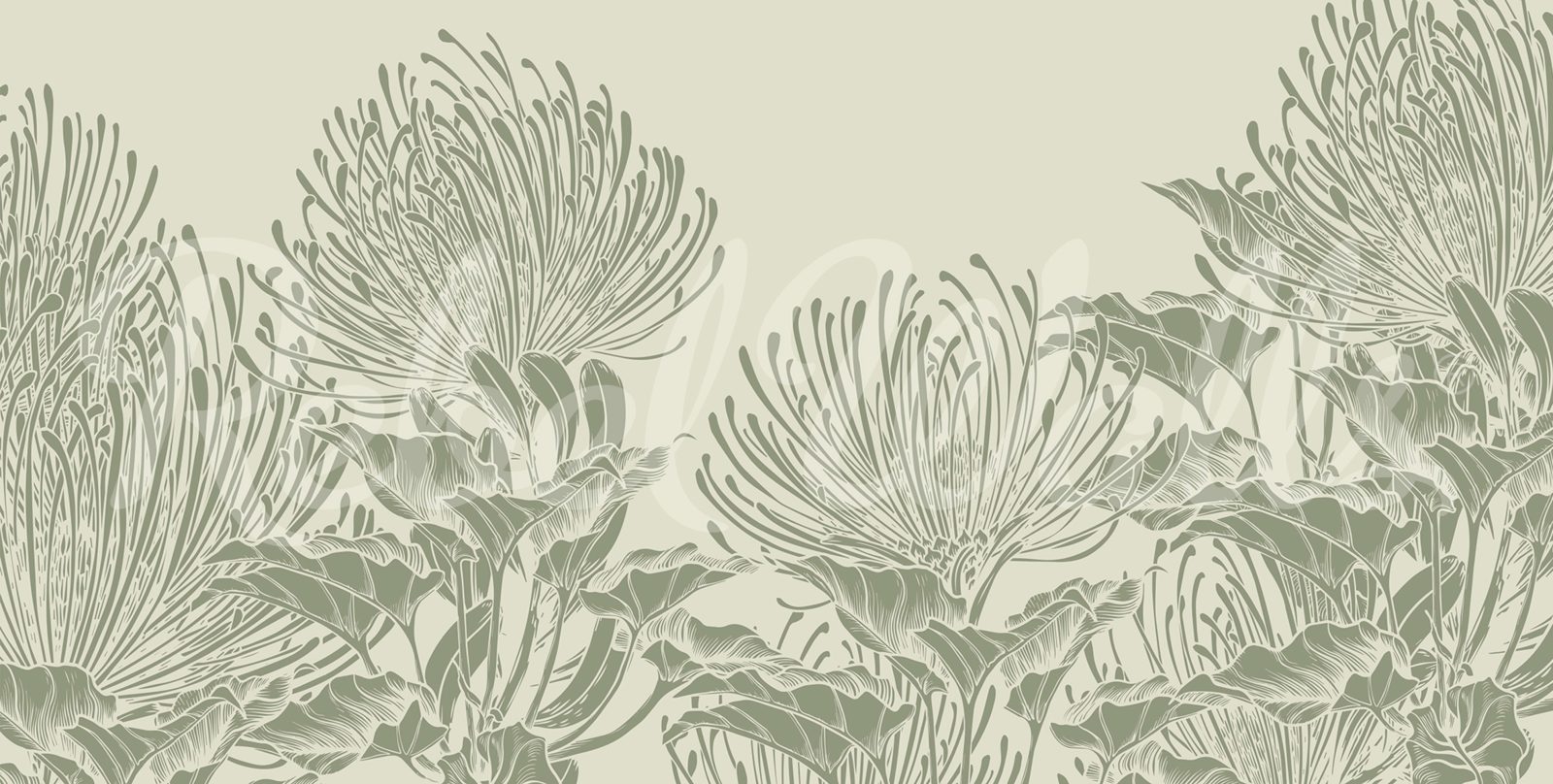 Protea Bloom, Soft Green, Rebel Walls