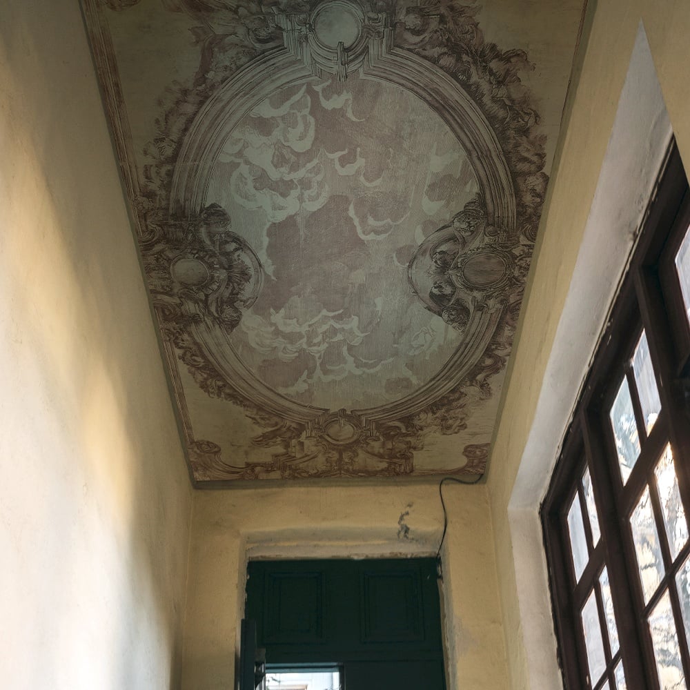 Porcelain Sky, Rose, VLAdiLA 2