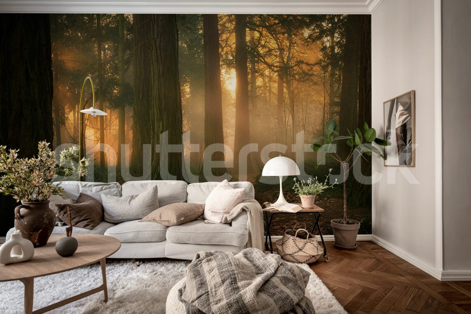 Misty Morning, Soft, Rebel Walls 2