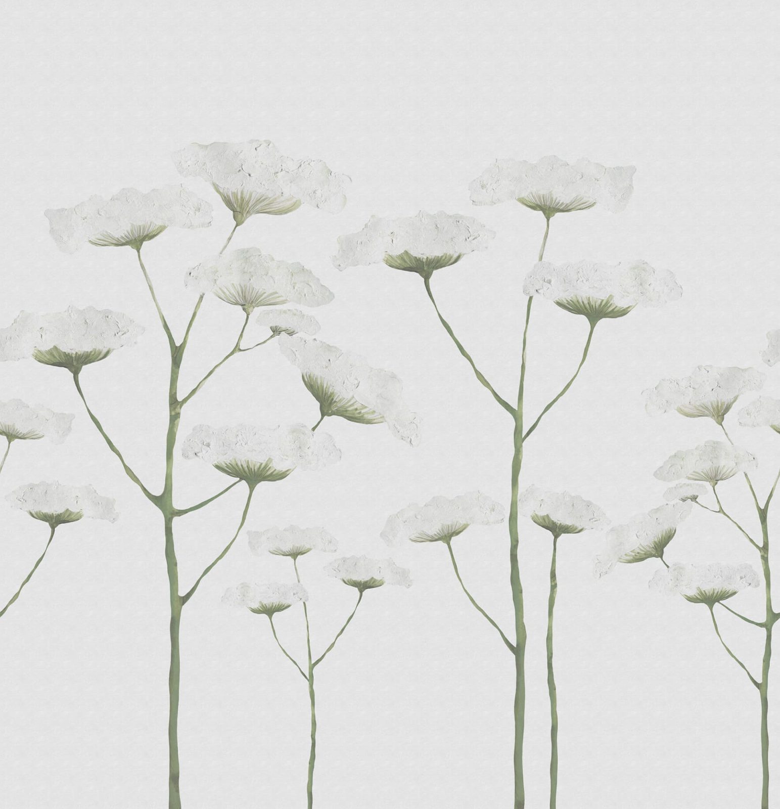 Dara, White, Rebel Walls