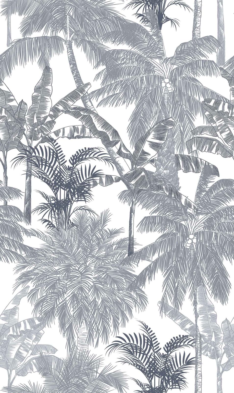 Palms, Plomo, Coordonne, 5mp / rola