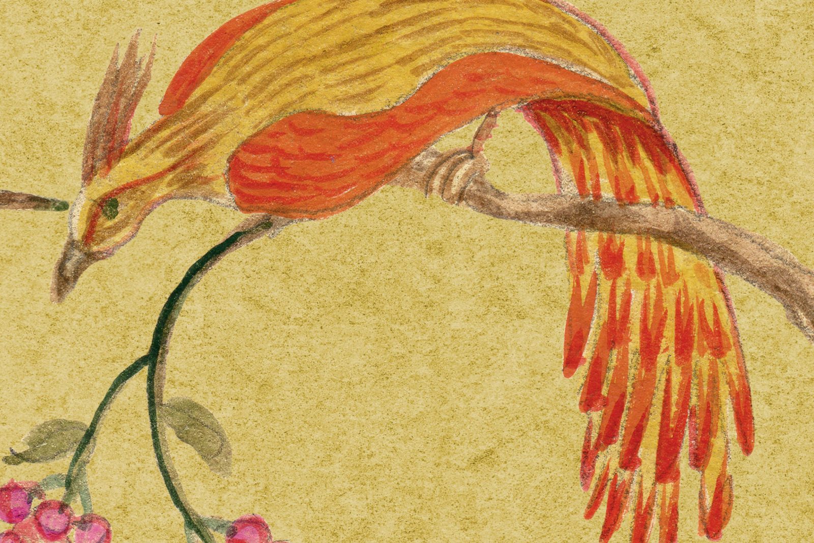 Songbirds, Saffron, Rebel Walls 4