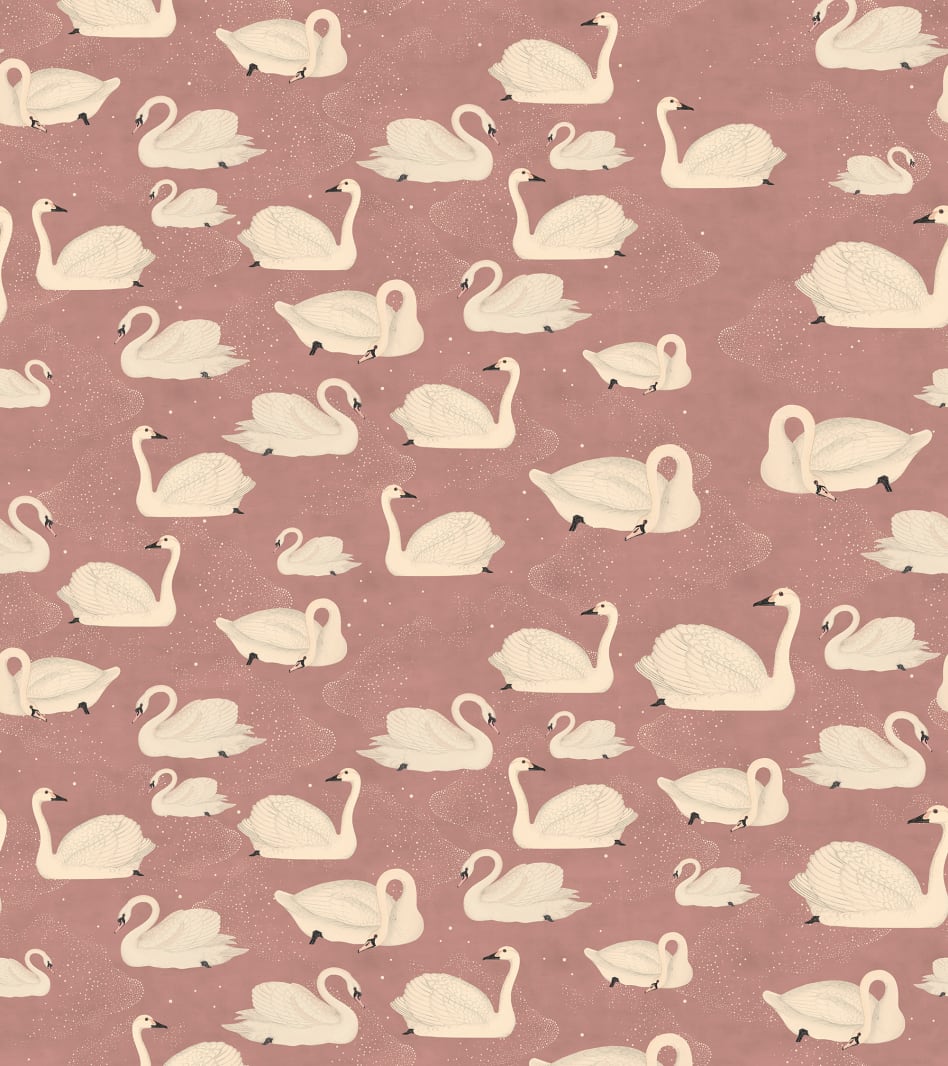 Cygne, Rose, Rebel Walls