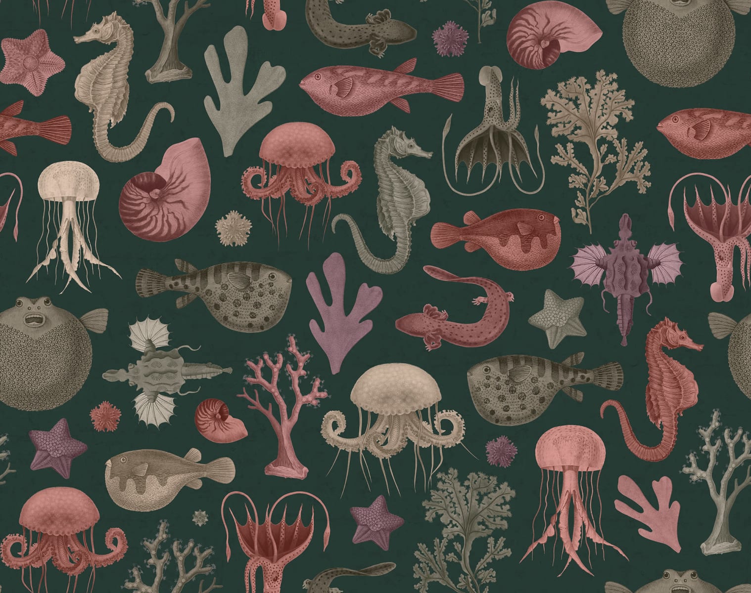 Sea Life, Ocean, Rebel Walls