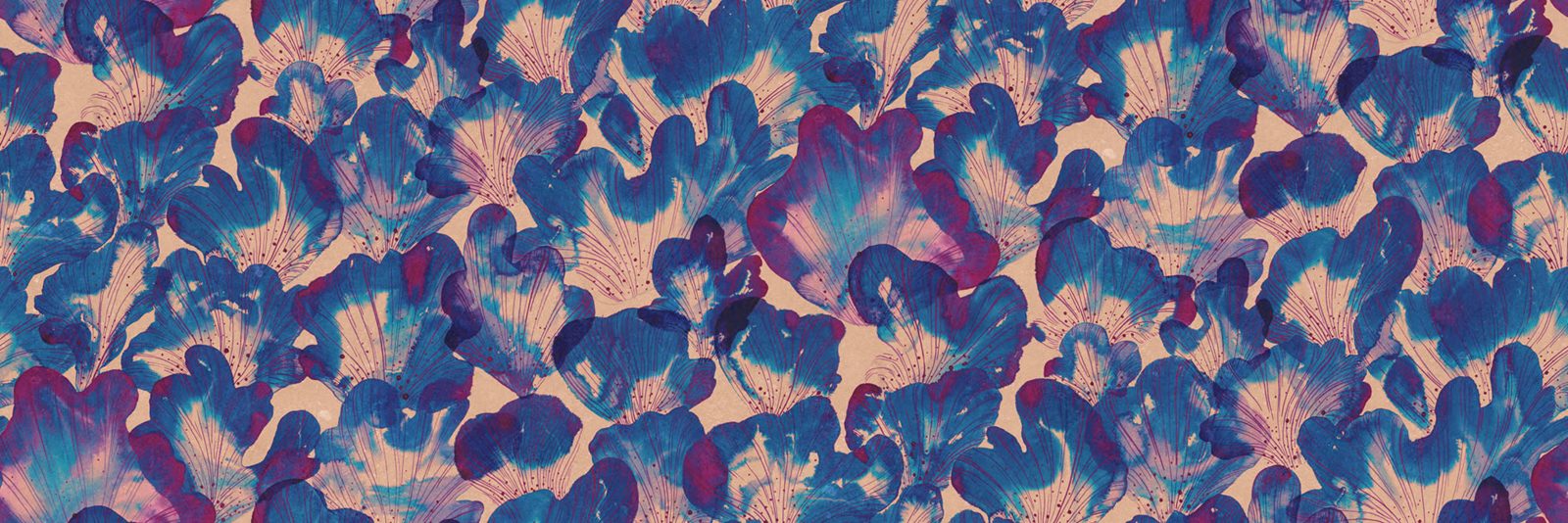 Corals, Blue, Rebel Walls