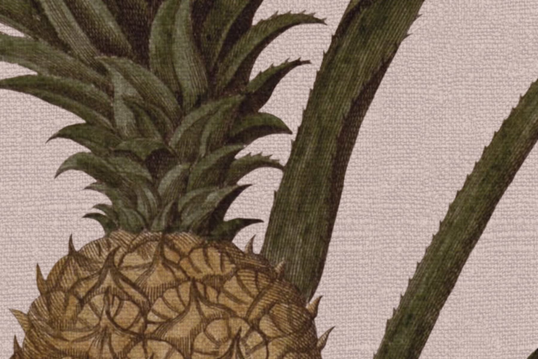 Pineapple, Soft Pink, Rebel Walls 4