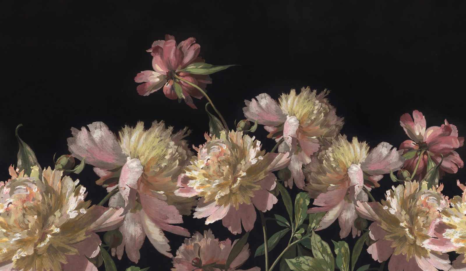 Vintage Peony, Pink, Rebel Walls