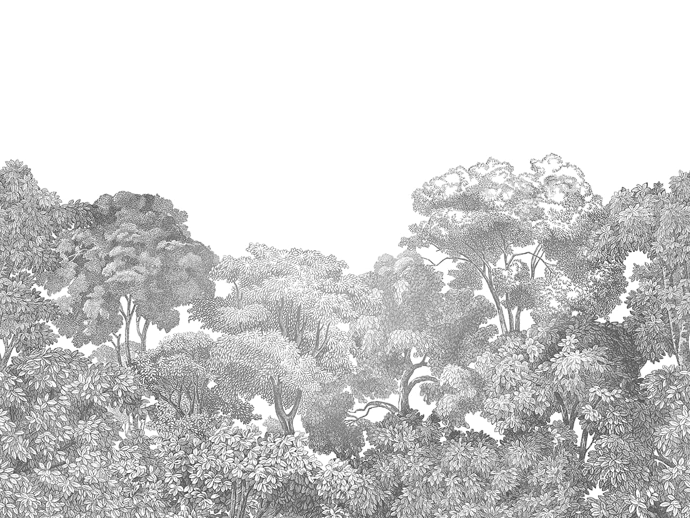 Bellewood, Grey Toile, Rebel Walls