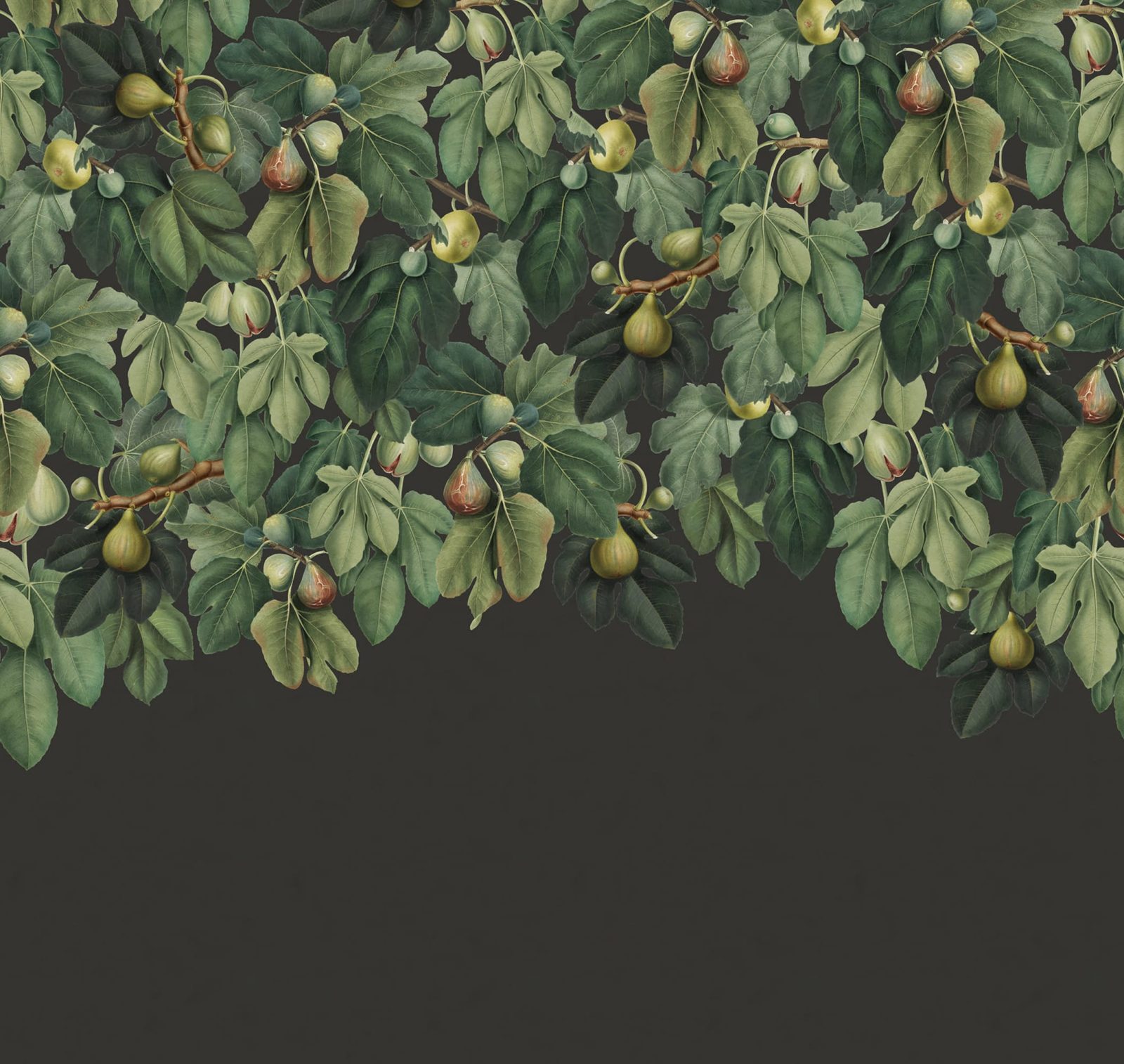 Dangling Figs, Lush, Rebel Walls