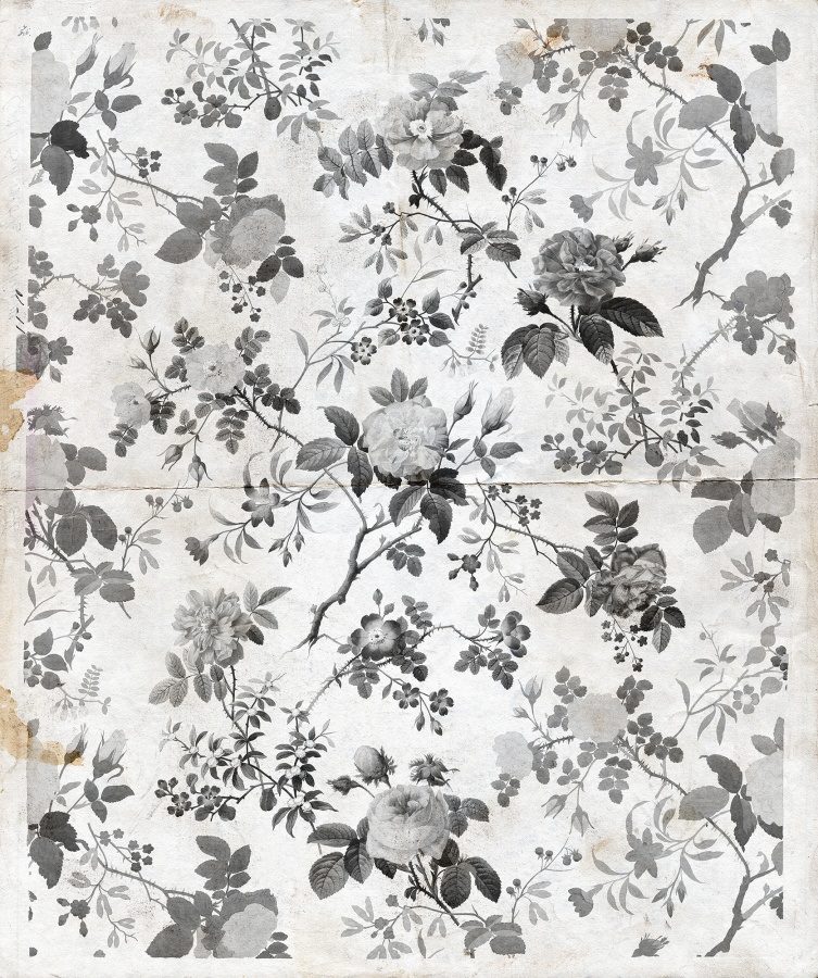 Rosegarden, Black, Rebel Walls