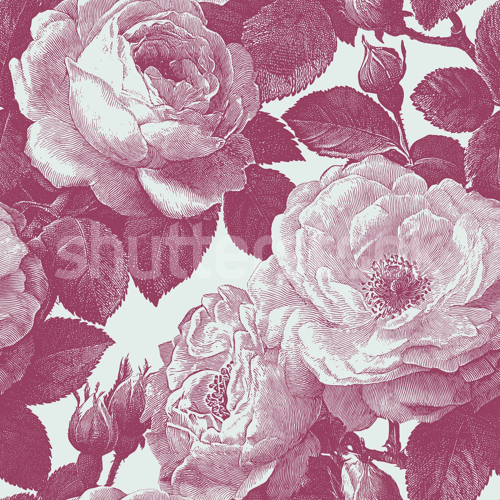 Bold Roses, Pink, Rebel Walls