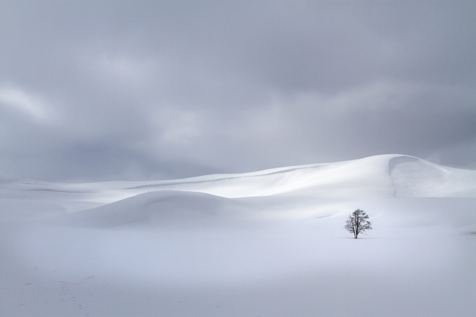 Snowy Hills, Rebel Walls