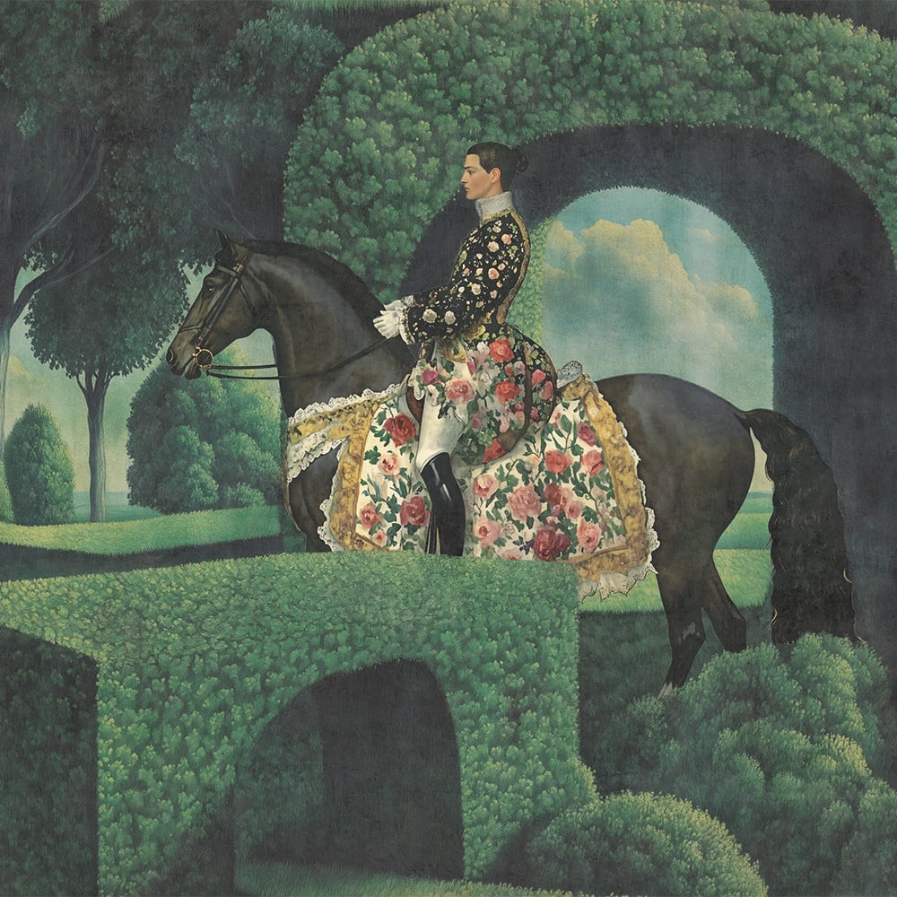 Knight's Maze, VLAdiLA 5