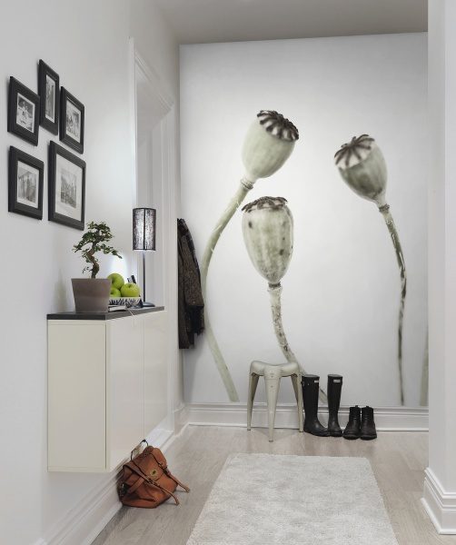 Simple Seedpod, Rebel Walls 2