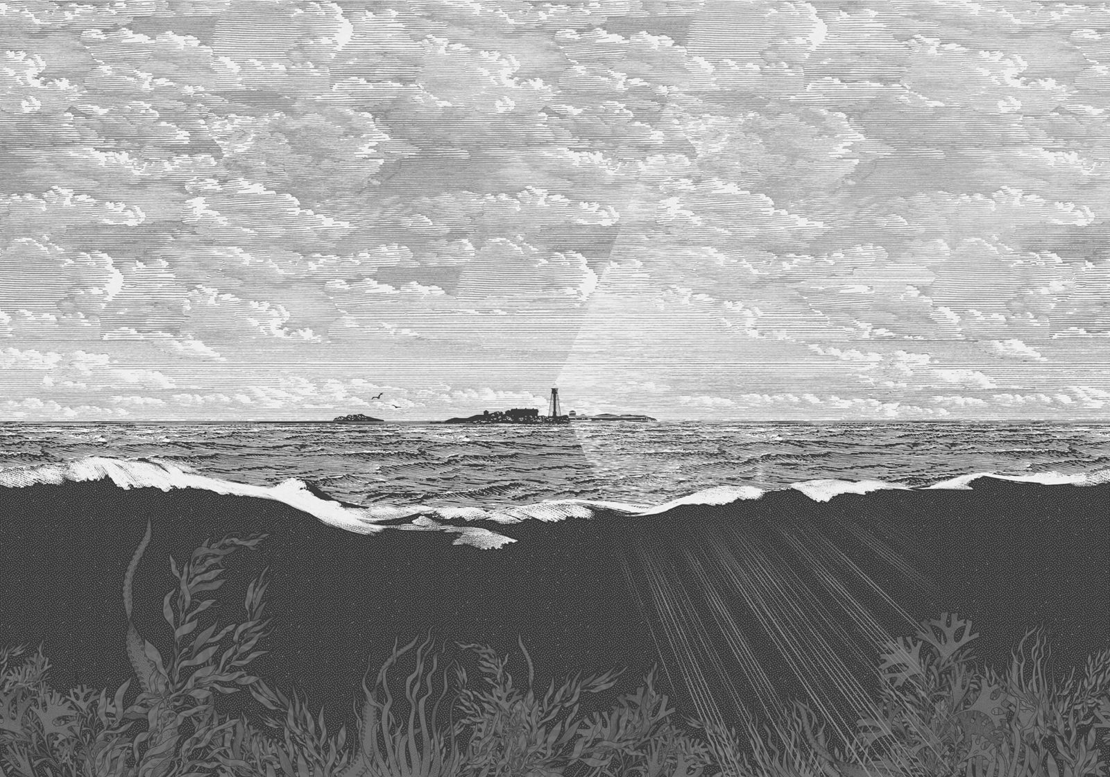 Guiding Light, Graphite, Rebel Walls