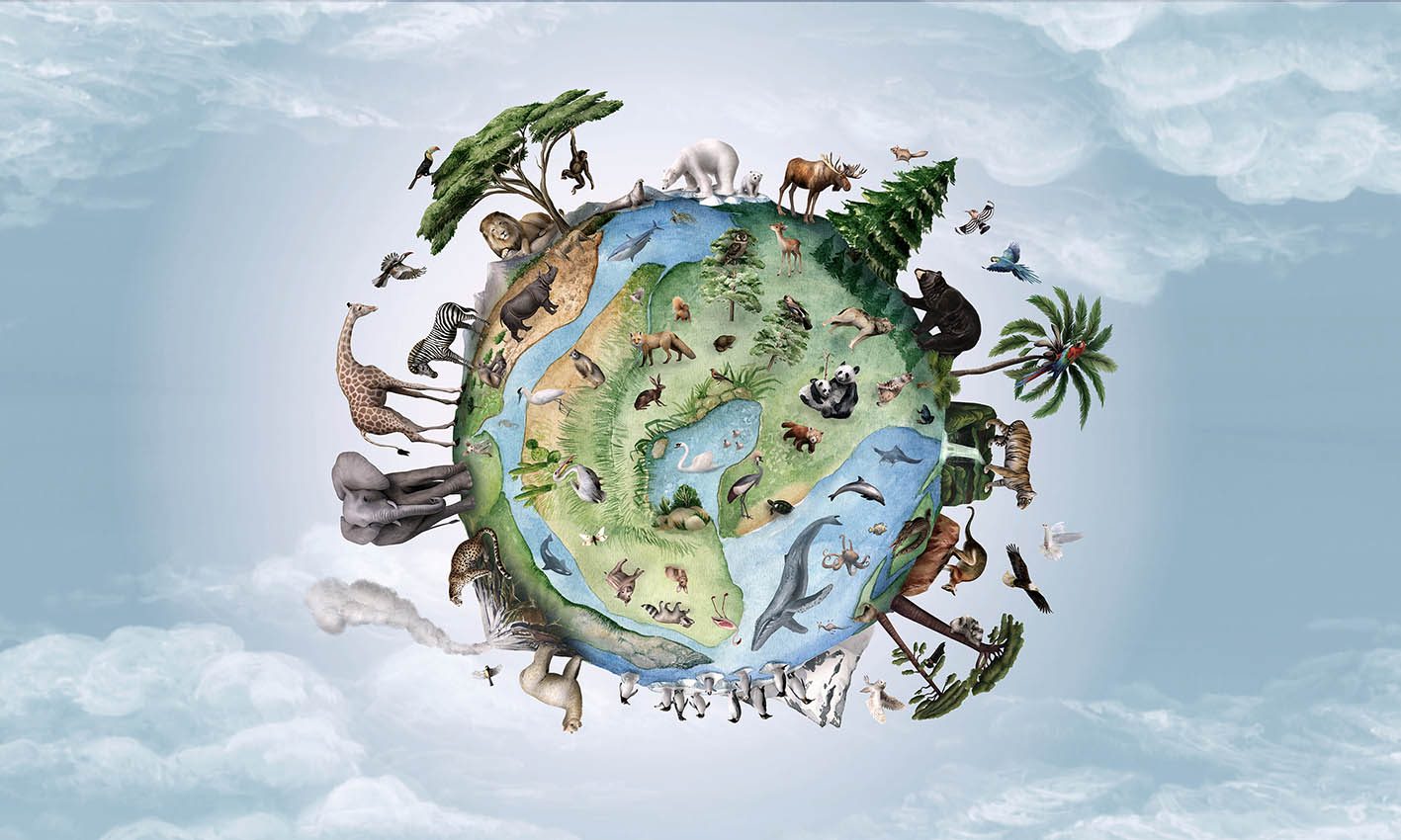 Animals of Earth, Kikki Belle