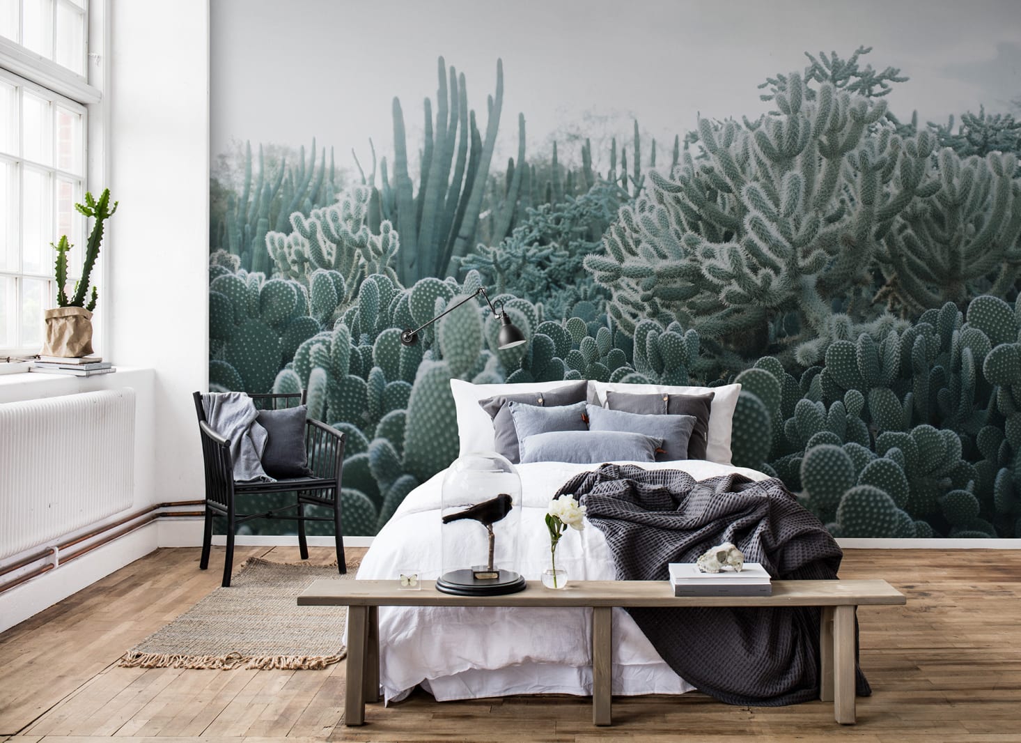 Cacti, Rebel Walls 3