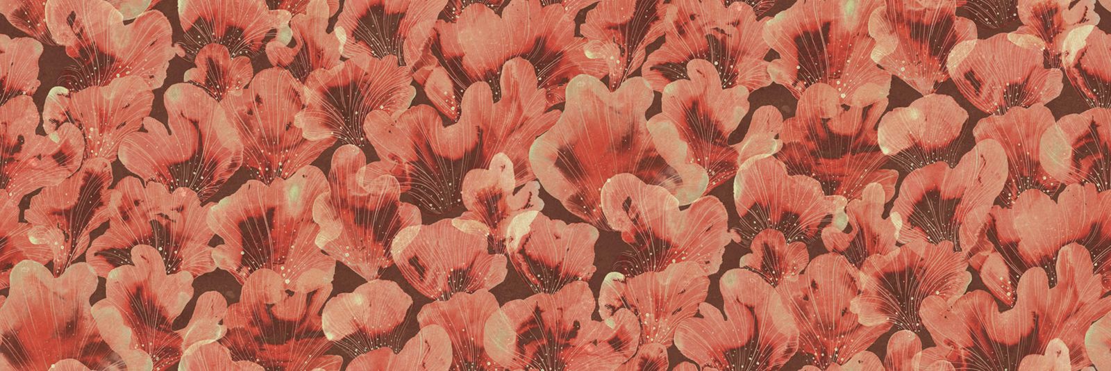 Corals, Red, Rebel Walls