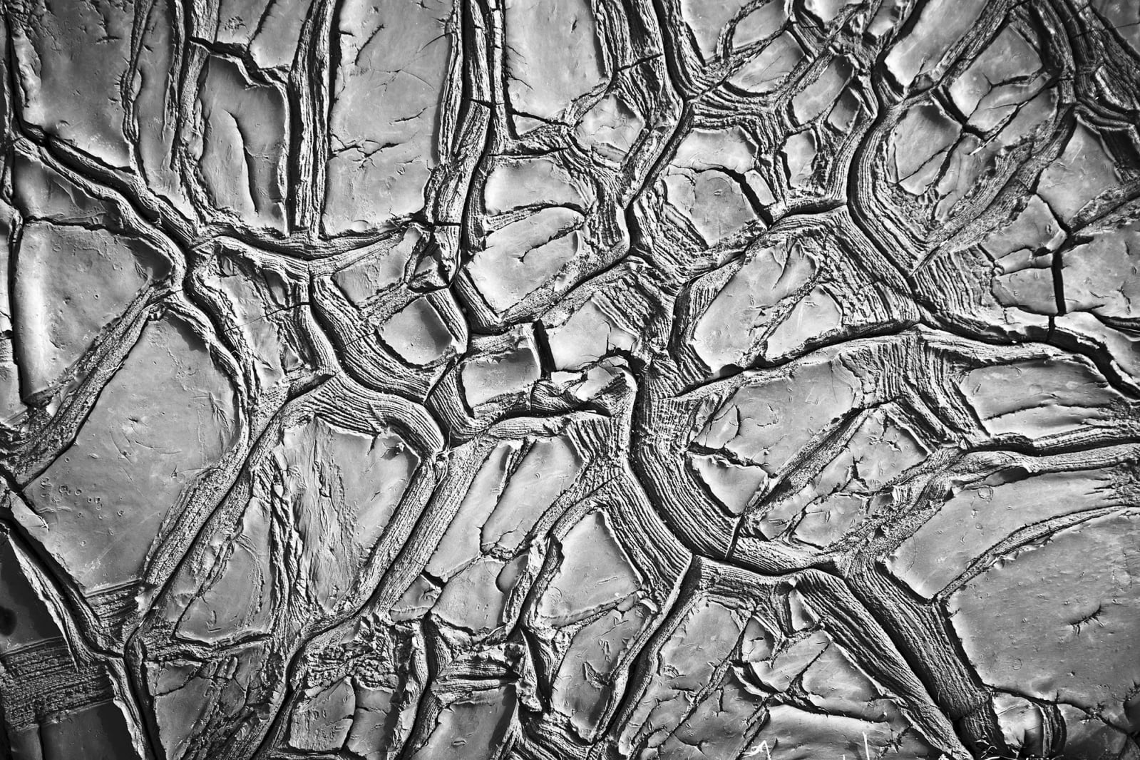 Dried Clay, Rebel Walls