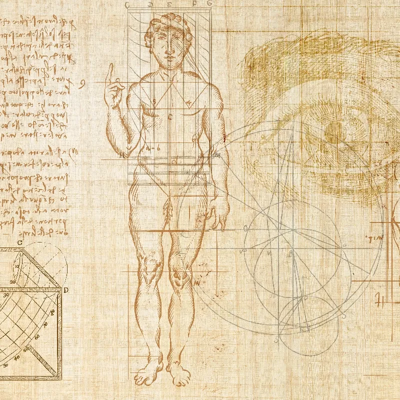 Anatomy of numbers, VLAdiLA