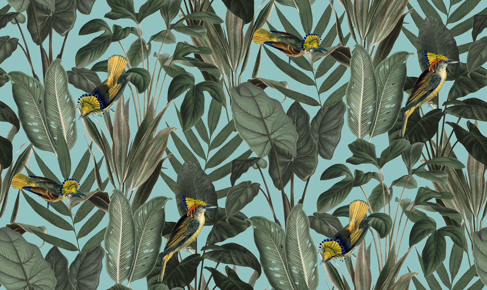 Birds of Paradise, Lush Green, Rebel Walls, 5 mp / rola