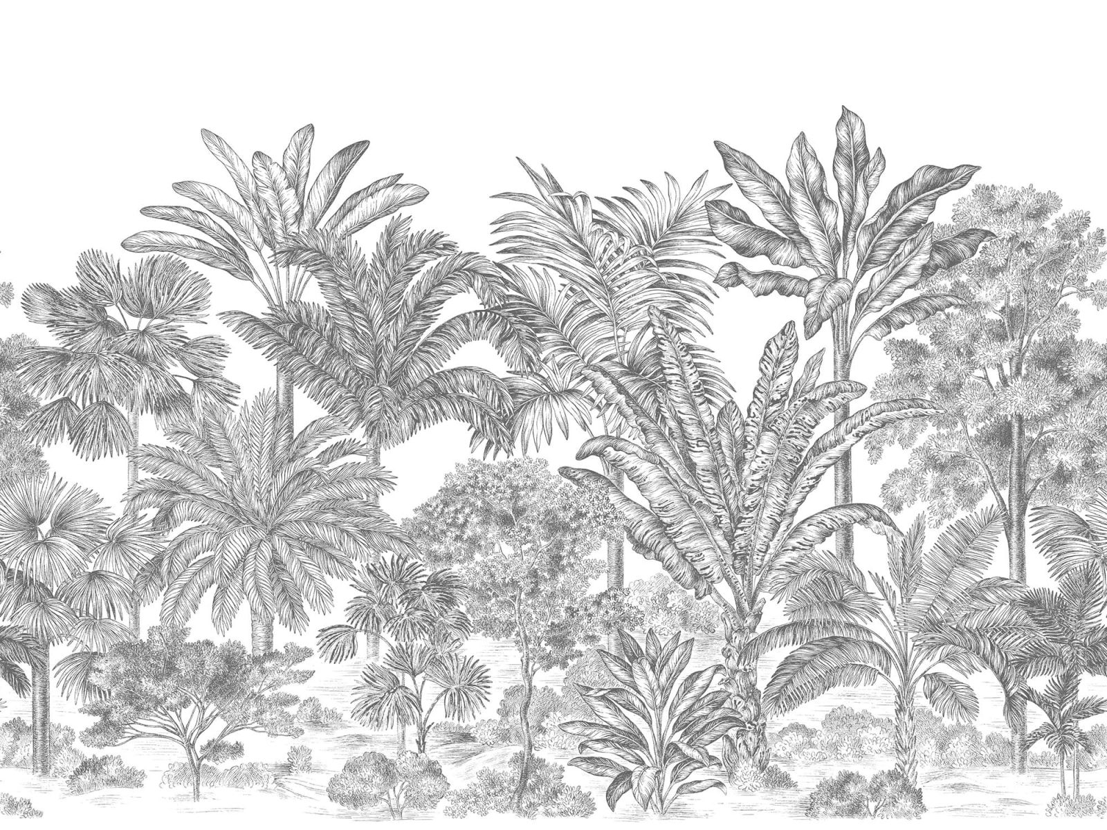 Tropical Bellewood, Frost, Rebel Walls