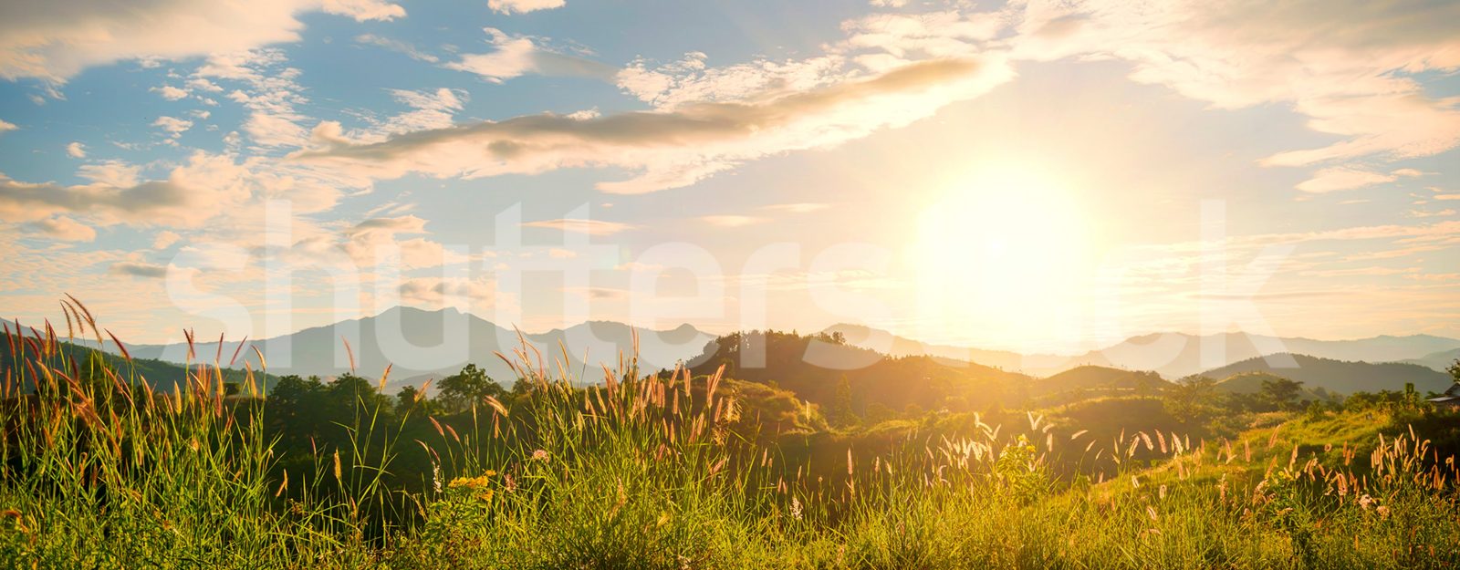 Sunrise Hills, Soft, Rebel Walls