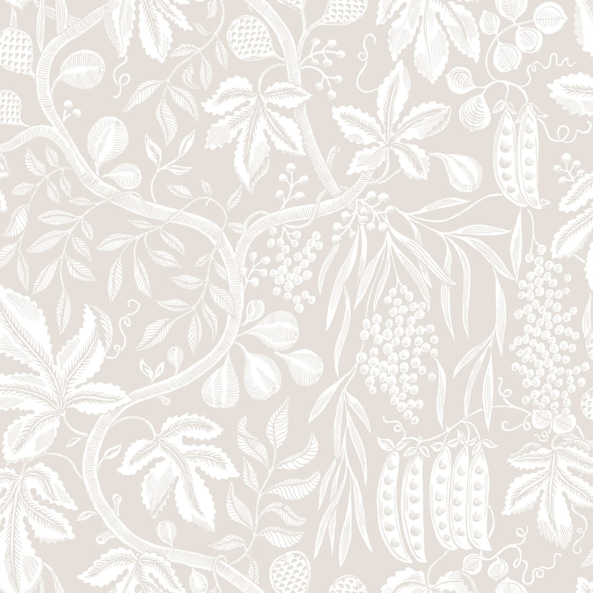 Fig Garden Sandstone, Sandberg, 5.3mp / rola