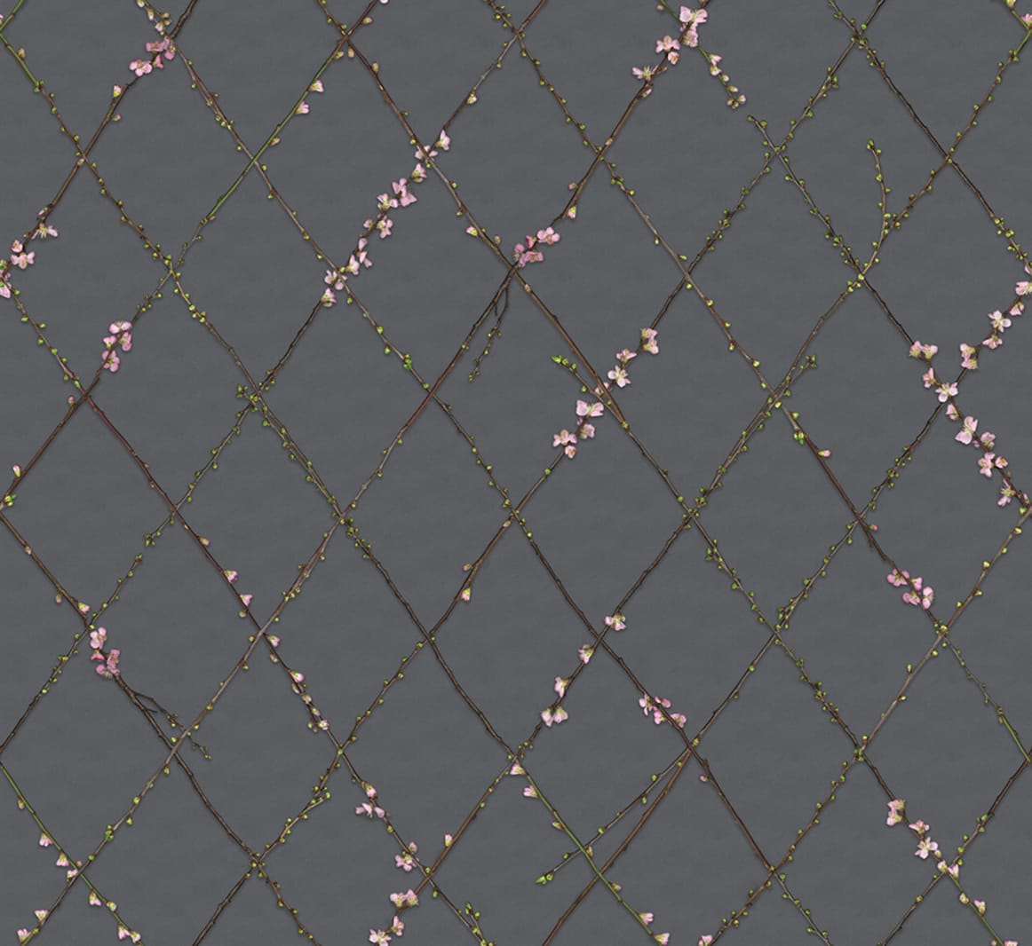 Winding Spring, Black, Rebel Walls