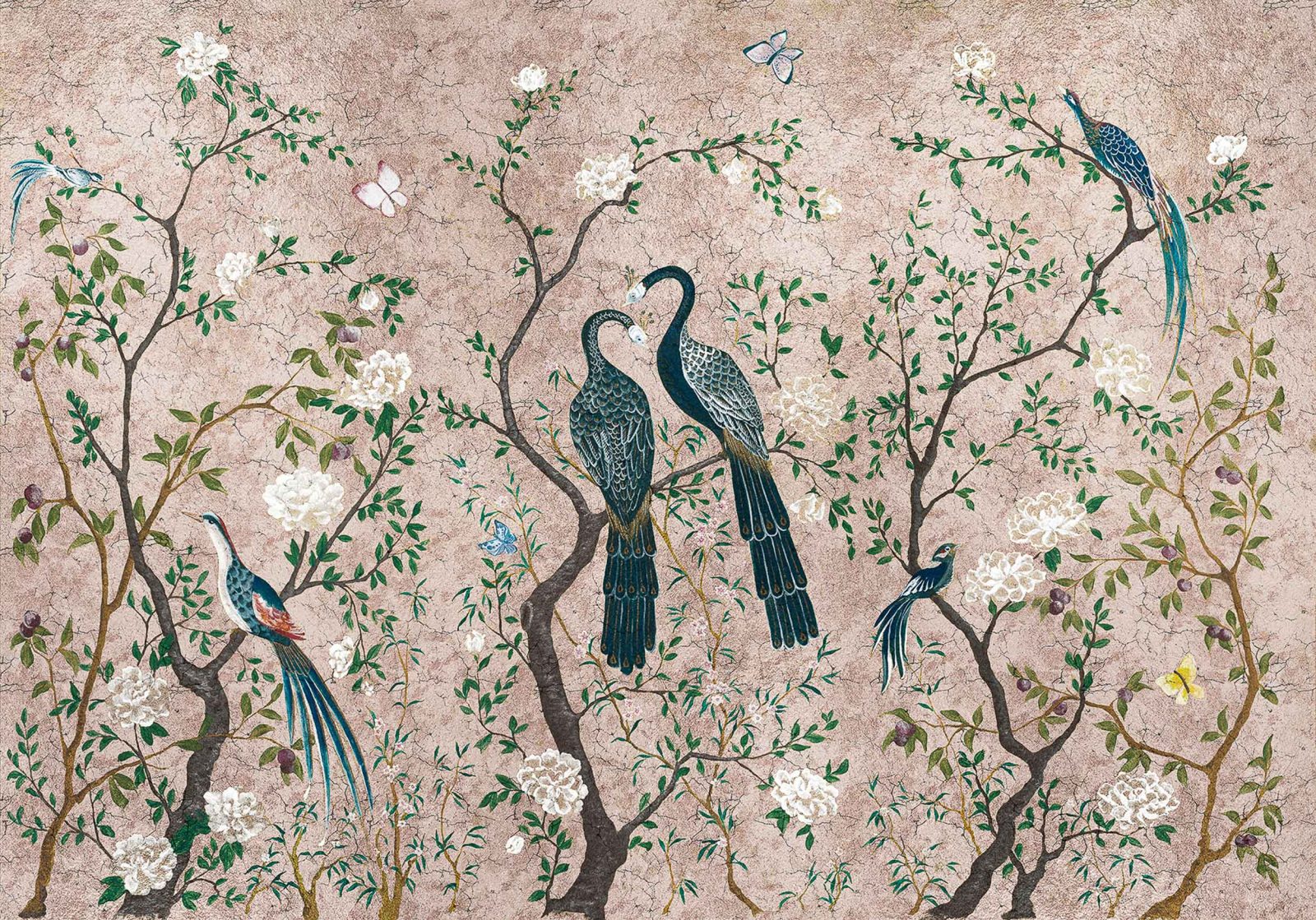 Edo, Rose, Coordonne
