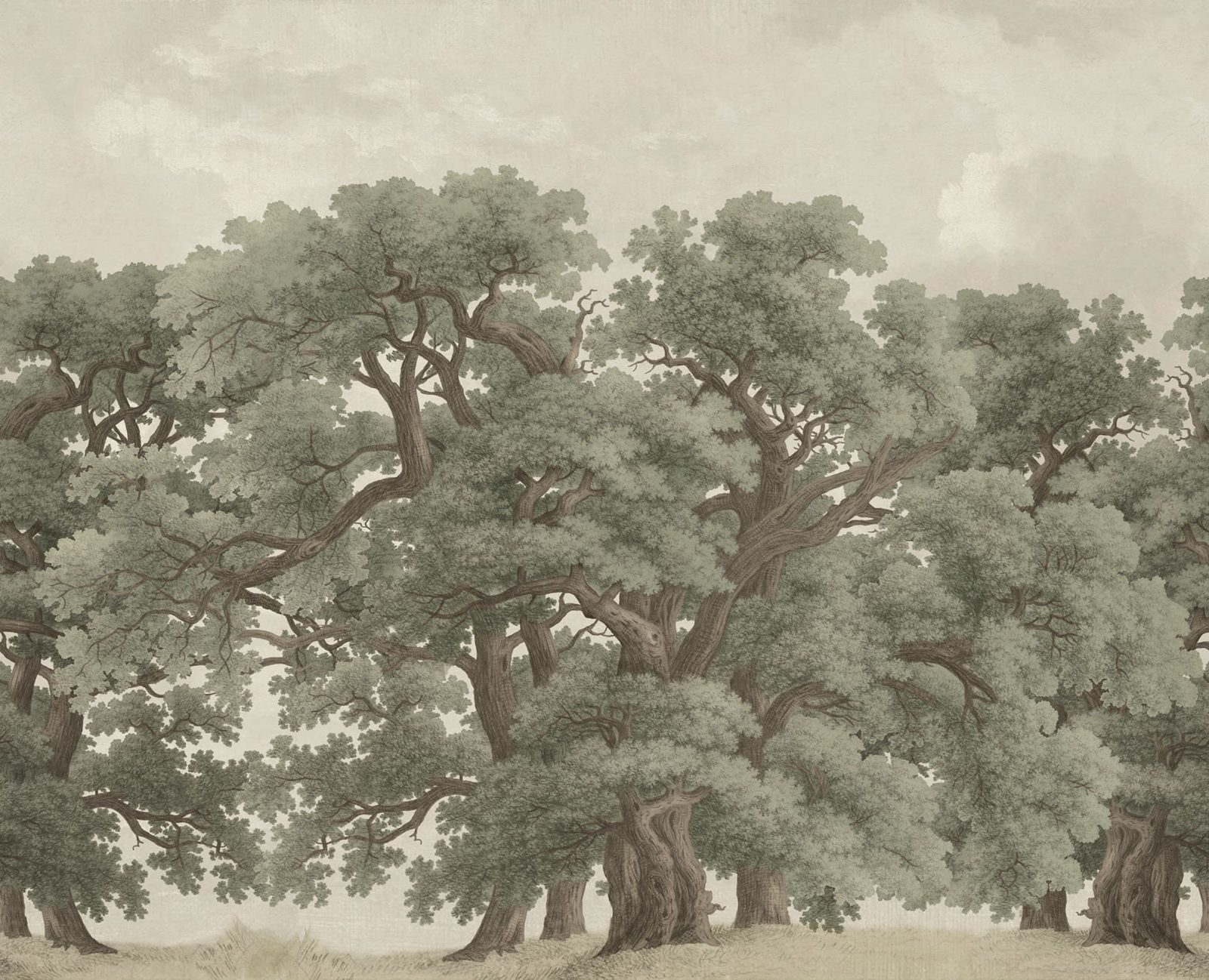 Vintage Oaks, Green, Rebel Walls