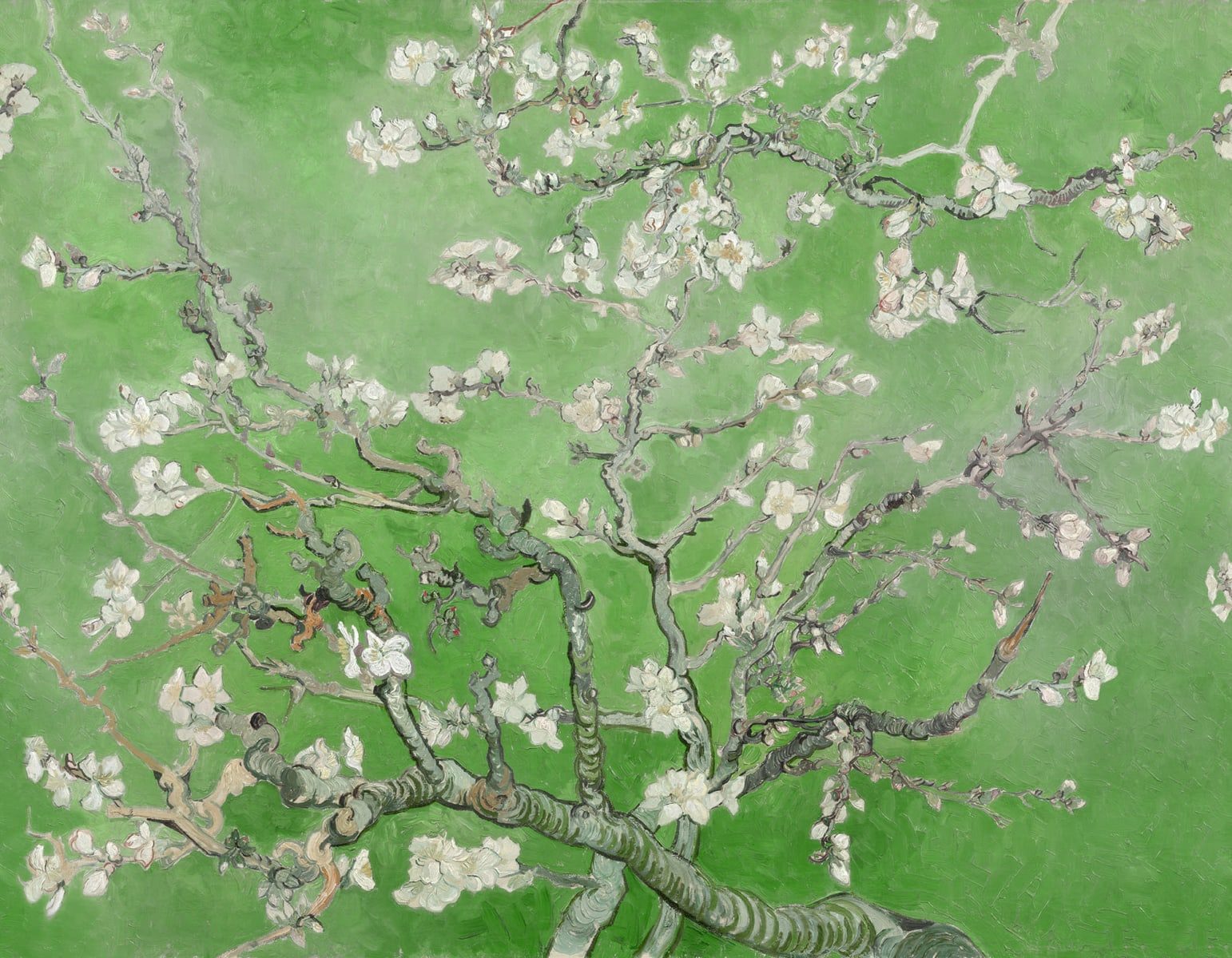 Almond Blossom, Green, Rebel Walls
