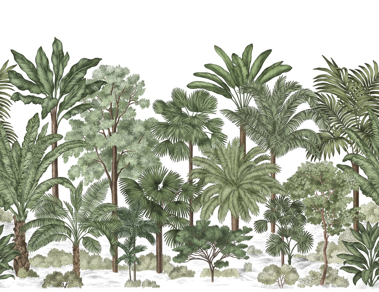 Tropical Bellewood, Lush, Rebel Walls