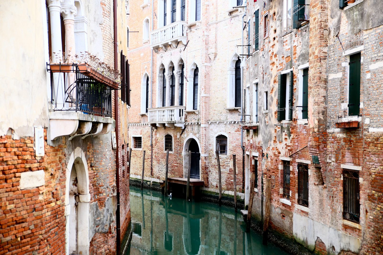 Venice, Rebel Walls