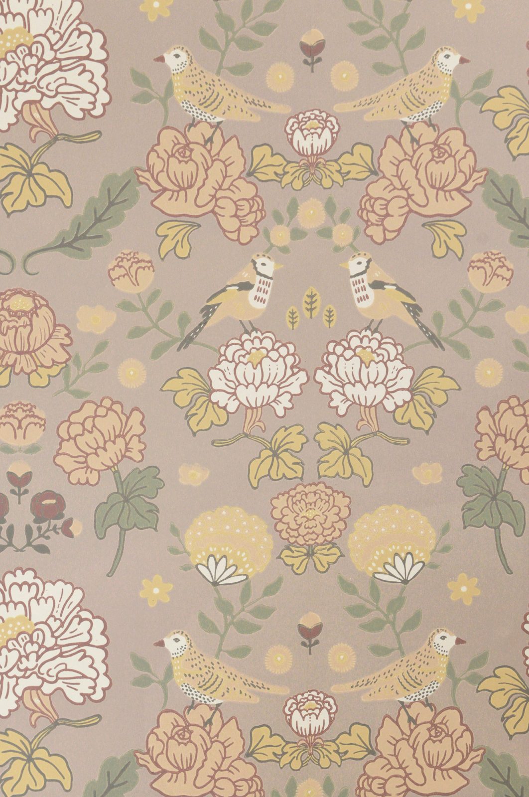 June, Sandy Lilac, Majvillan