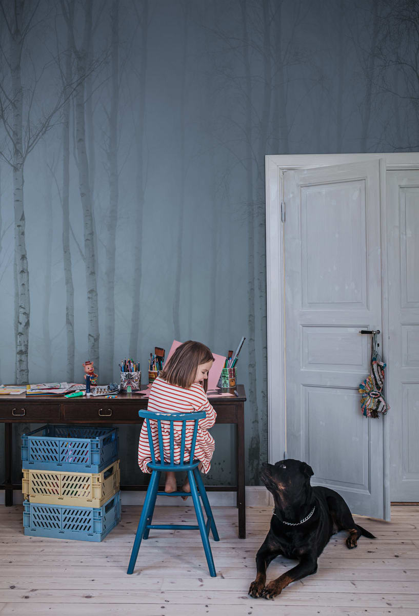Birch Fog, Blue, Rebel Walls 3